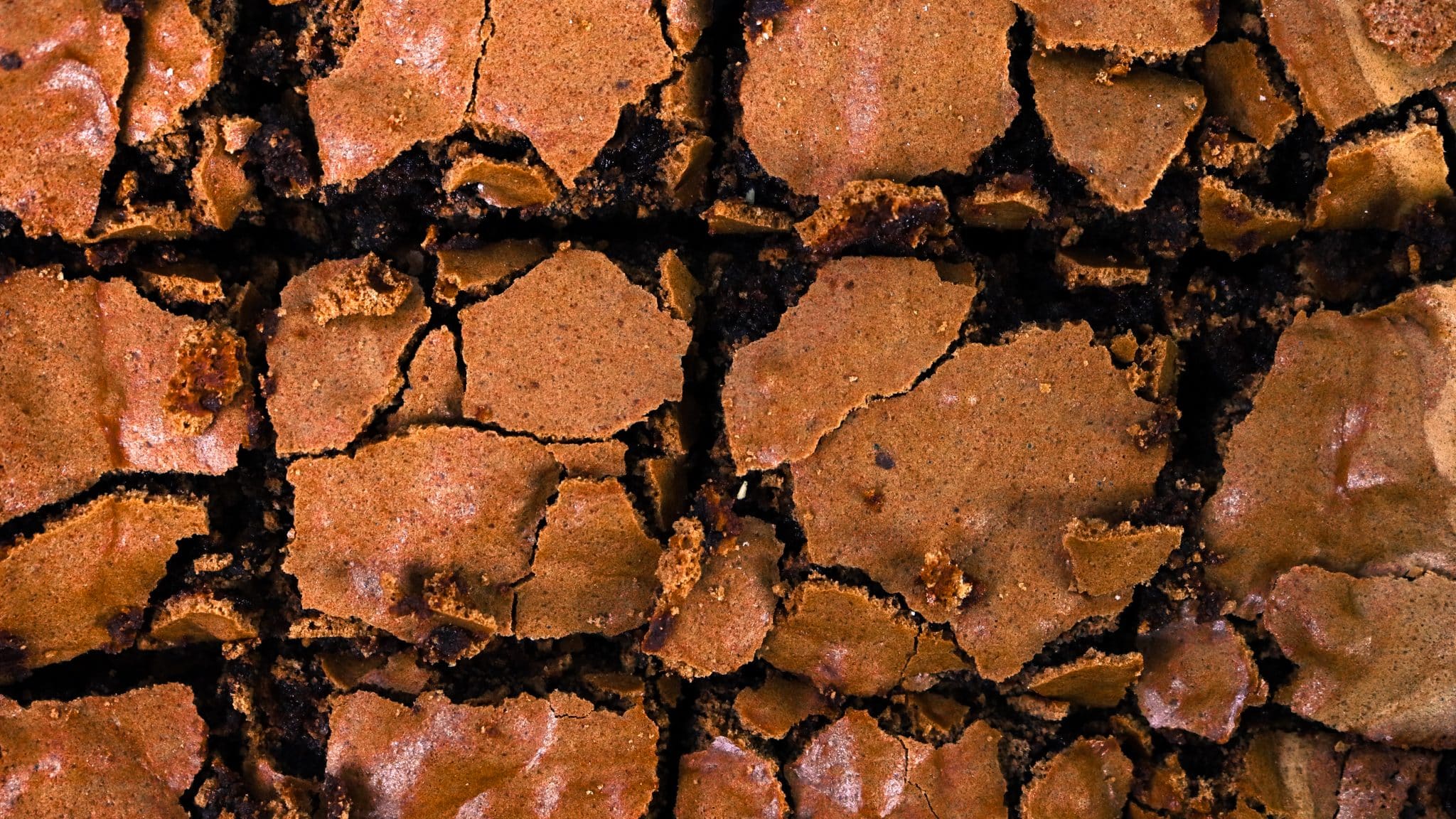 Rodelle Stout Brownies - Rodelle Kitchen