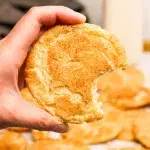 Vanilla Bean Snickerdoodles