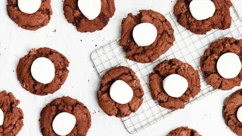 Hot Cocoa Cookies