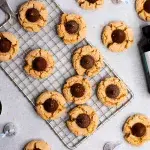 Peanut Butter Blossom Cookies Peanut Butter Blossom Cookies
