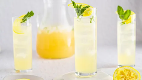 vanilla mint lemonade with mint leaves and lemon garnish in tall vertical glasses with ice