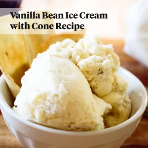 Vanilla ice cream in a dish on a wooden countertop