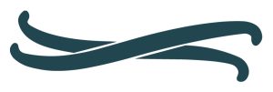 vector image of two vanilla beans crossed and in a teal color.